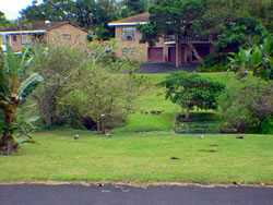 Dyason Construction Developments.  House for sale in eco friendly estate Munster.