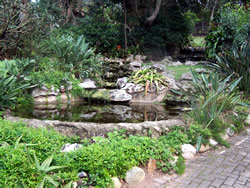 Dyason Construction - Landscaping services